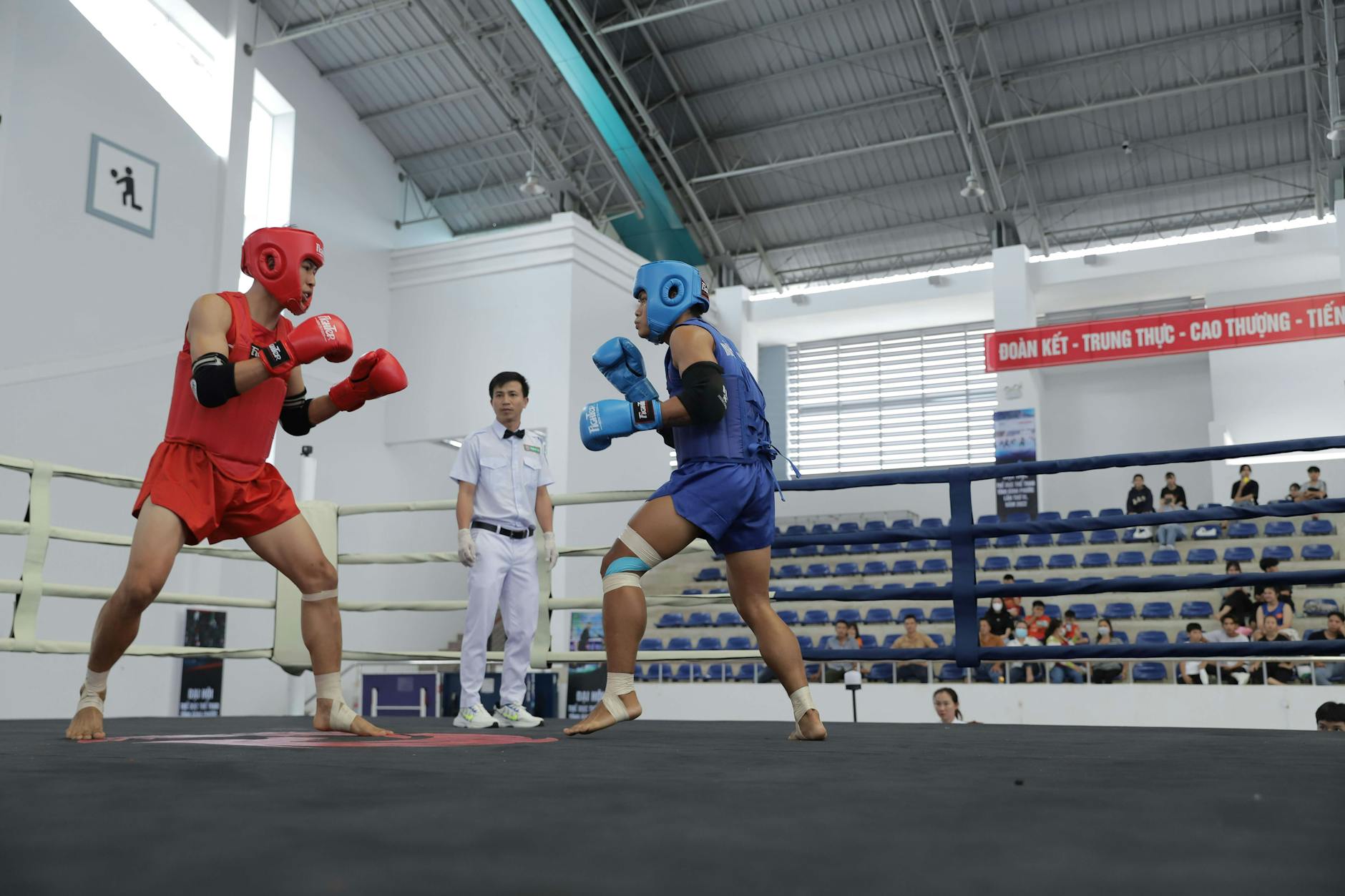 Hai chiến kê trước trận để so sánh thể hình và phong cách thi đấu