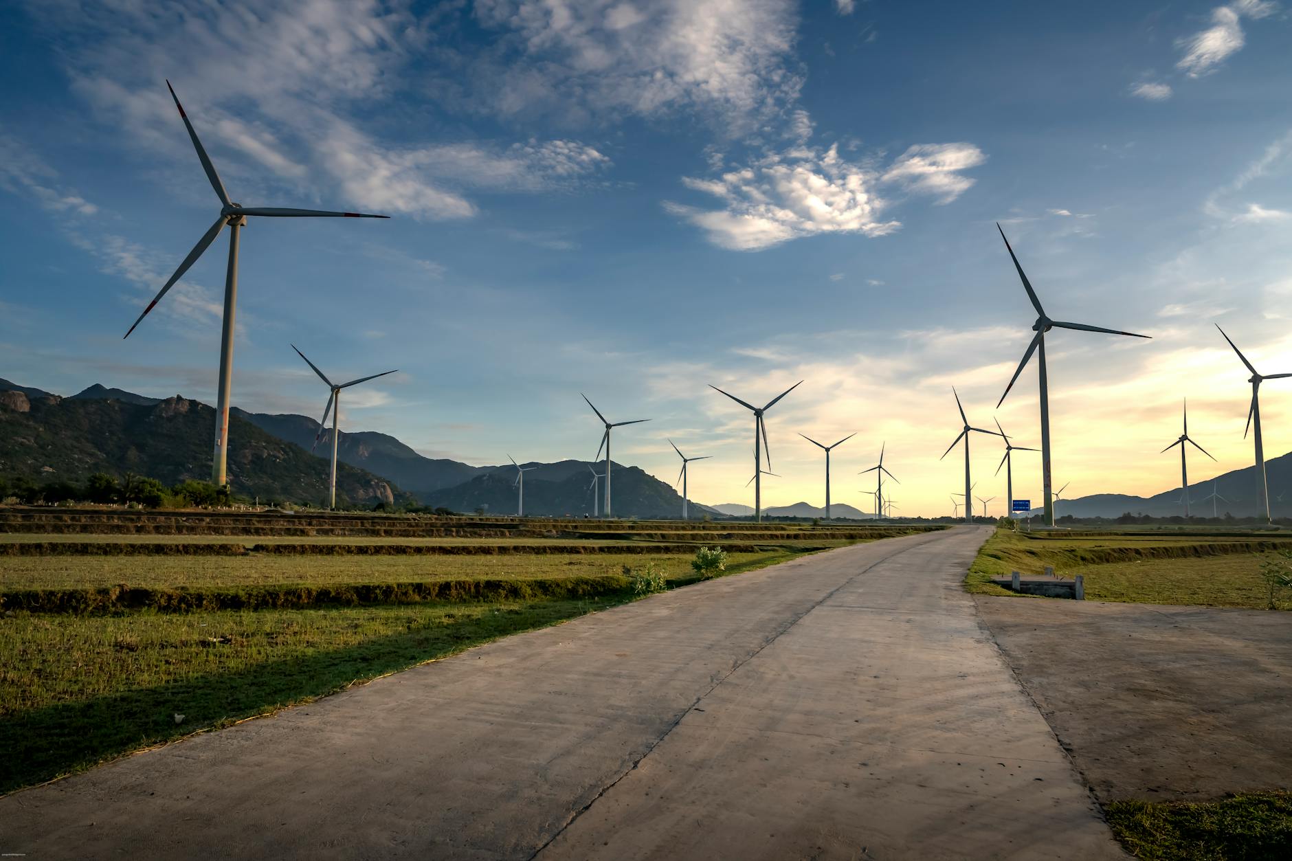 Giao diện đặt cược trên điện thoại với bố cục rõ ràng