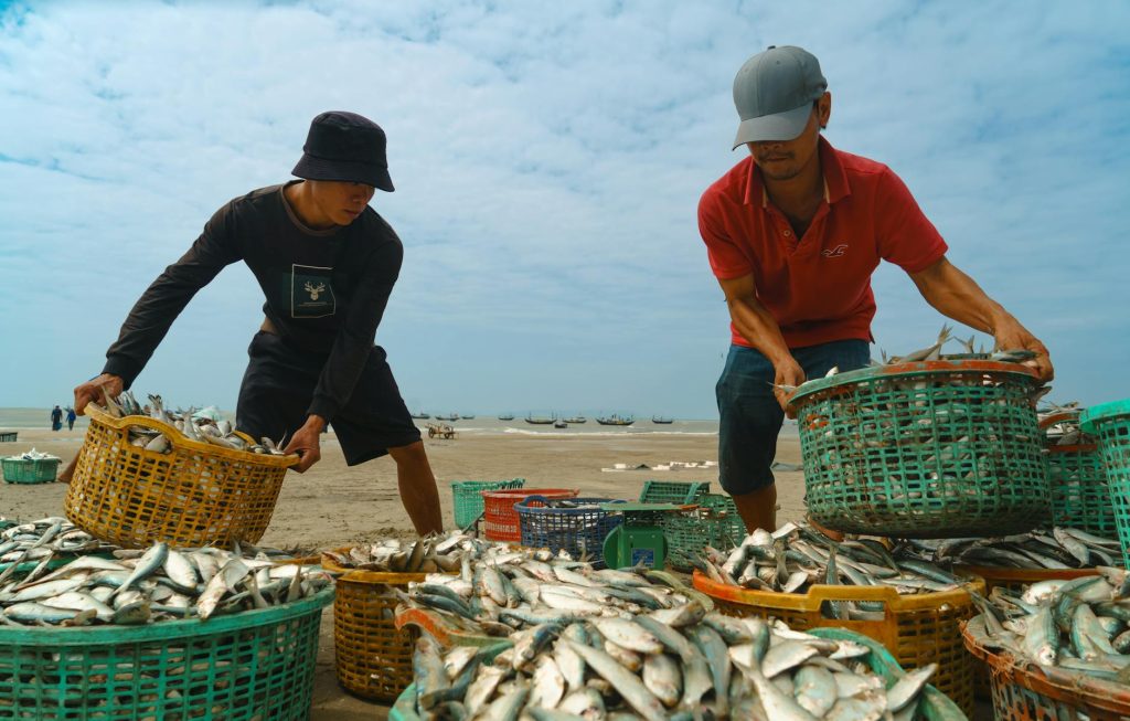 Giao diện vua đánh cá với đại bác và nhiều loại cá trên màn hình